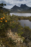 Cradle Mt and Dove Lake