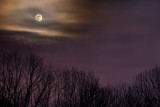 full moon rising