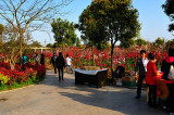 d7003 143.jpg