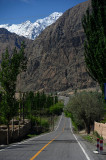 d7011 294.jpg