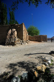 d7011 301.jpg