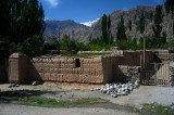 d7011 304.jpg