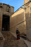 d7011 117.jpg