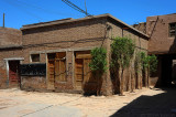 d7010 618.jpg