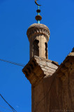 d7010 633.jpg