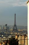 mont (26).jpg