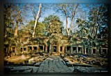 Cambodia022.jpg