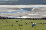 Ebb tide in the Brandon Bay