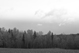 Monochrome