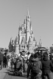 Magic Kingdom