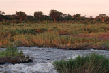 The Sabie River at dusk
