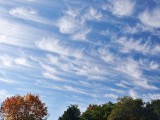Whispy clouds in fall