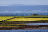 The Burrens 26.jpg