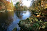 River Brathay