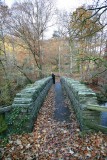 Walker on Bridge