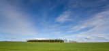 Norfolk Panorama