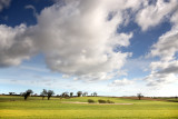 Norfolk Big Sky