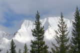 IMG_2929.JPG