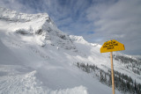 IMG_2948-m.jpg