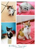 25 May - Homeless kittens!