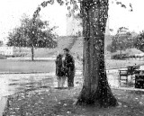 28 October - love in the rain...