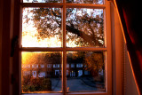 31 October - sun creeping in...