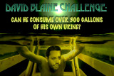 Challenge.jpg