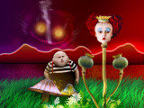 Poppy-Wonderland-sml.jpg