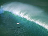 Rogue-Wave.jpg