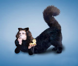 Meoow-Mix.jpg