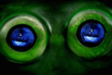 Double-vision-view-original.jpg