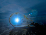 Beach-Light.jpg