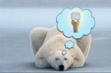 Cool-Idea.jpg