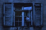 Haunting.jpg
