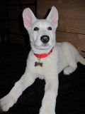 IMG_0810_edited-1.jpg