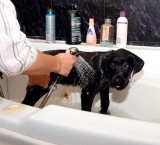 Raffa gets his first bath