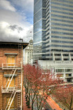 Downtown - Fox Tower - HDR