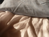 saturday morning sheets