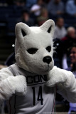 UCONN Huskies mascot