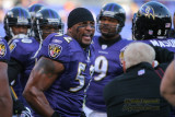 Baltimore Ravens linebacker Ray Lewis