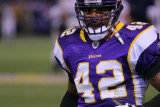 Minnesota Vikings DB Darren Sharper