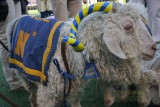 2007 Army-Navy Game
