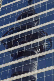 Sky Tower reflection, Auckland