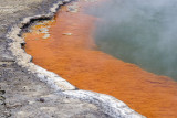 Champagne Pool