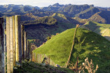 Fences in the Manawatu-Wanganui Region