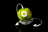 January 2010 - Apple iPod - Tommy Brison