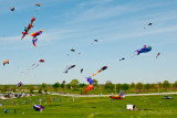 Kites Away-4  by Ray Rosewall.jpg