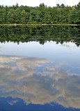 Pond Reflection in Connecticut
