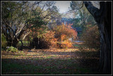 Ashbridge Park