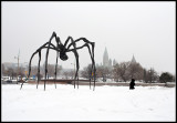 web_IMG_2592.jpg